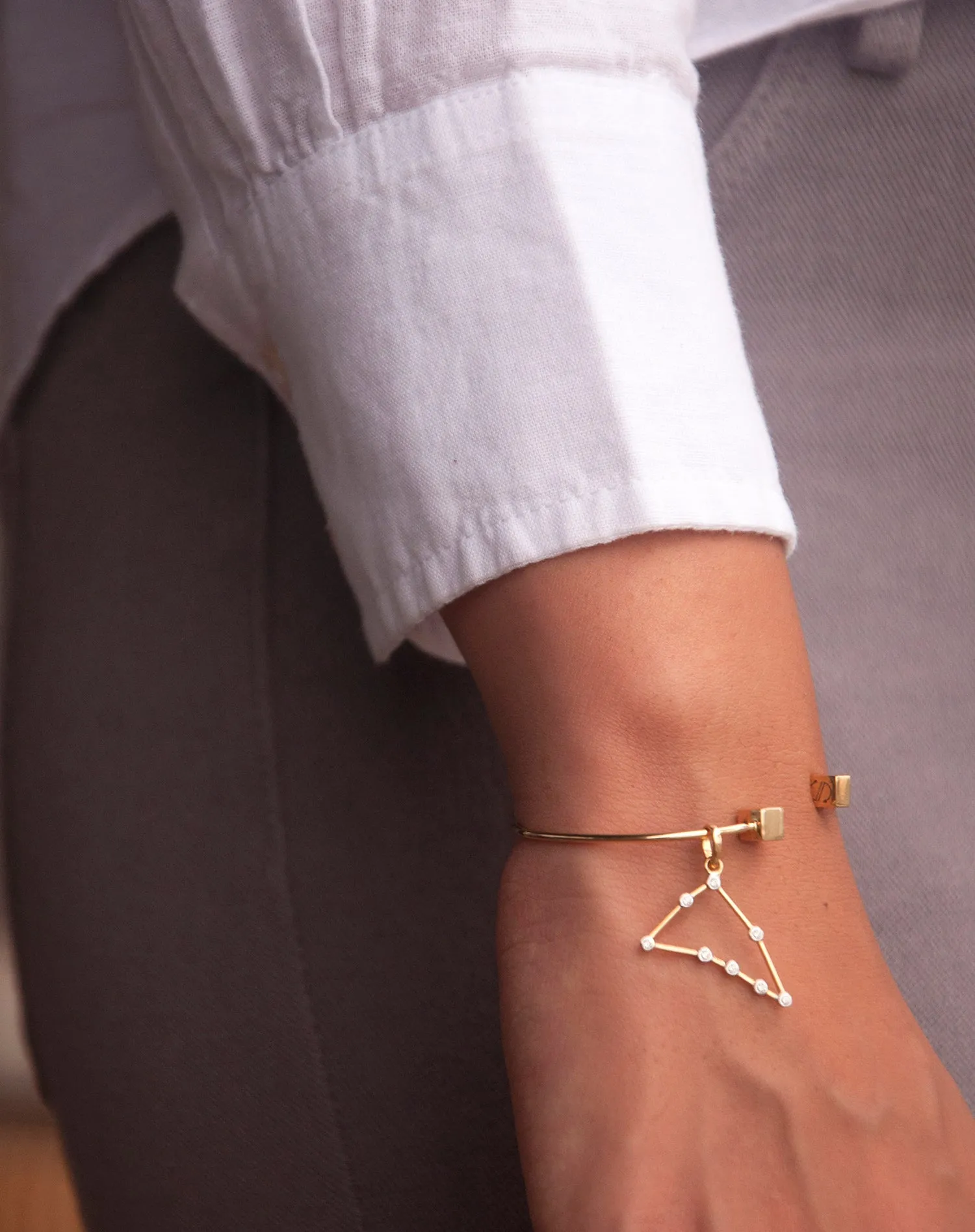Constellation Charm Pendant - Capricorn