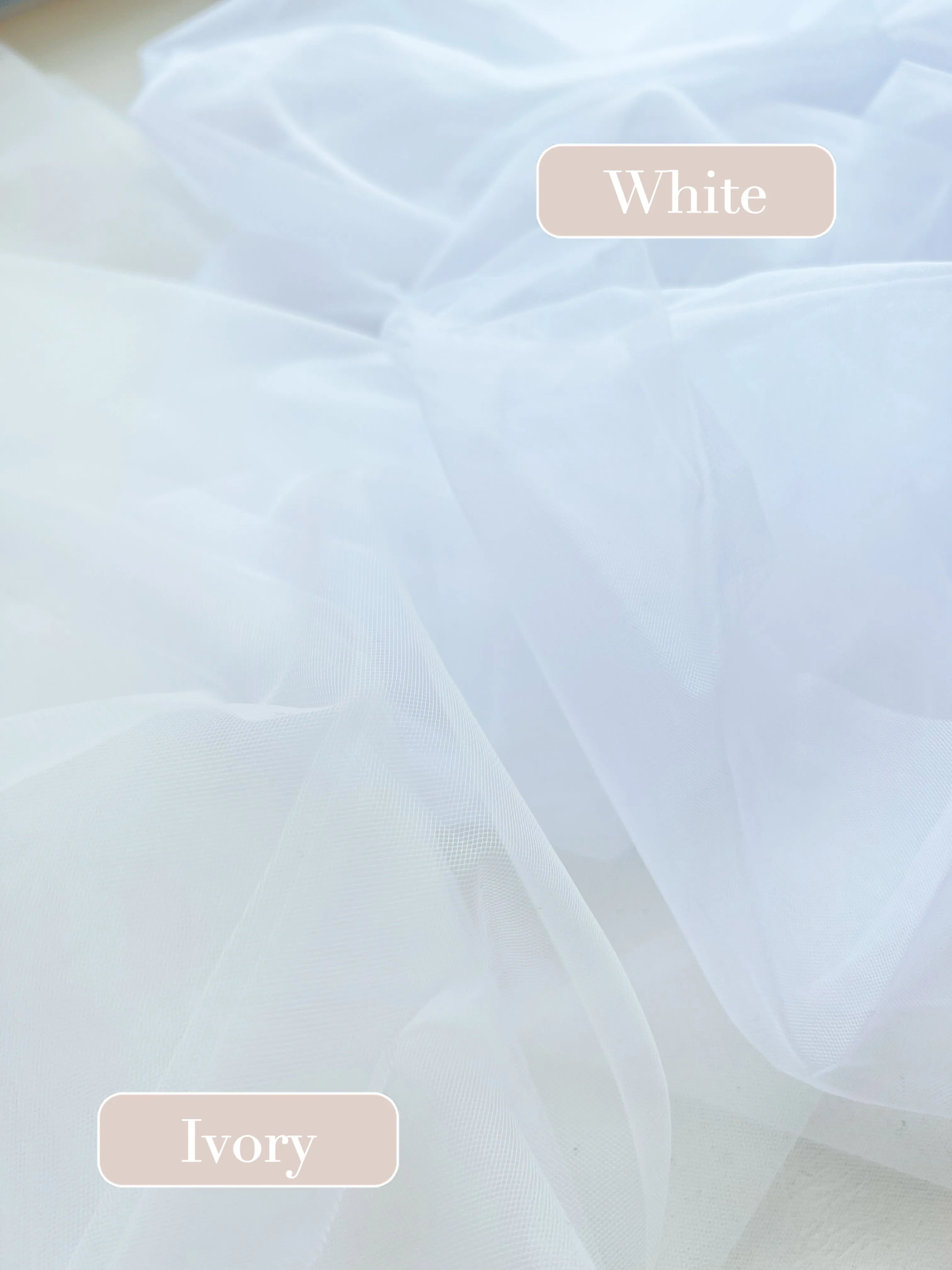 Kate | Plain Cathedra Long Veil