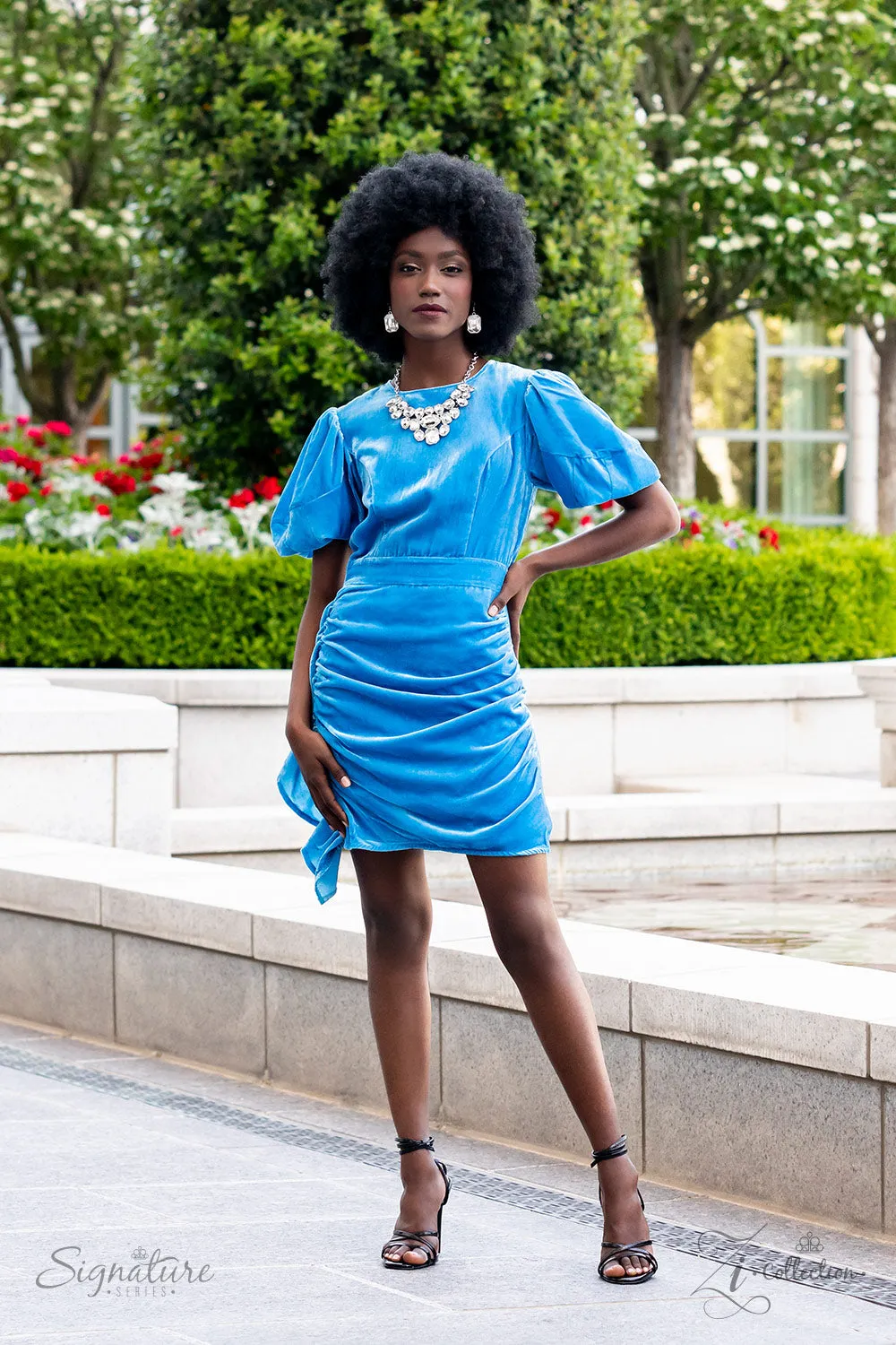 The Tasha  2022 Zi Collection